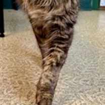 Thumbnail photo of Sofia #2