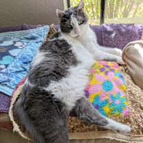 Thumbnail photo of Lisa #1