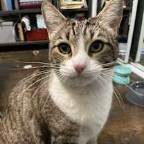 Thumbnail photo of Max #1