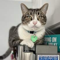 Thumbnail photo of Max #2