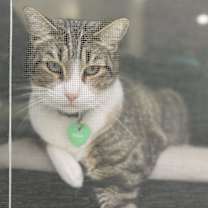 Thumbnail photo of Max #3
