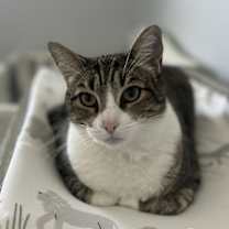 Thumbnail photo of Max #4