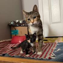 Thumbnail photo of Lesly #2