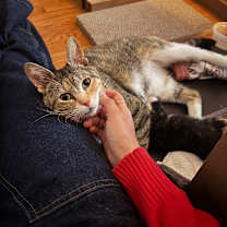 Thumbnail photo of Lesly #3