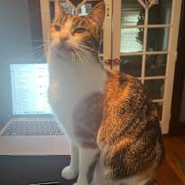 Thumbnail photo of Torrey #4