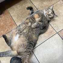 Thumbnail photo of Simone #1