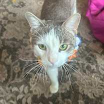 Thumbnail photo of Walter #1