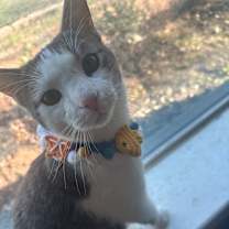 Thumbnail photo of Walter #4