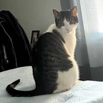 Thumbnail photo of Ouzo #2