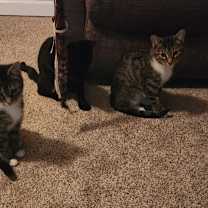 Thumbnail photo of Autumn #3