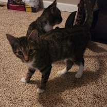 Thumbnail photo of Autumn #4