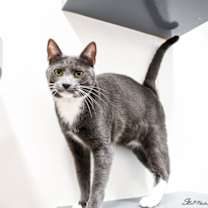 Thumbnail photo of Gianni #1