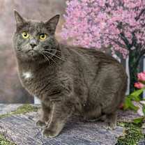 Thumbnail photo of Greg #1