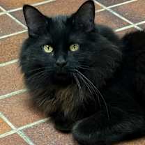 Thumbnail photo of Murphy #3