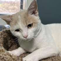 Thumbnail photo of Clara #1
