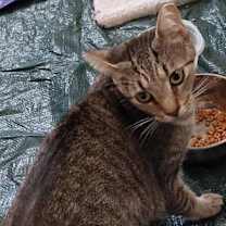 Thumbnail photo of Arizona #2