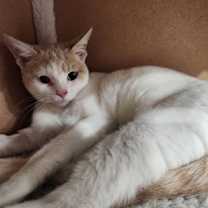 Thumbnail photo of Clara #3