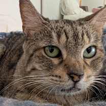 Thumbnail photo of Trevor #3