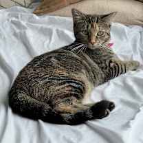 Thumbnail photo of Juliette #2