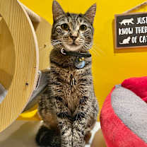 Thumbnail photo of Reese #1