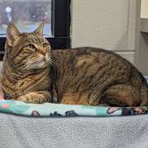 Thumbnail photo of Phoebe-Foster #3