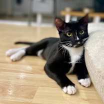 Thumbnail photo of Weenie #2