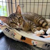 Thumbnail photo of Avery #1