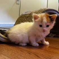 Thumbnail photo of Jordan #2