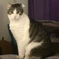 Thumbnail photo of Skipper #1