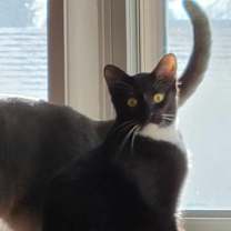 Thumbnail photo of Selena (aka Hilo) #2