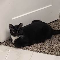 Thumbnail photo of Selena (aka Hilo) #3