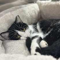 Thumbnail photo of Peggy #4