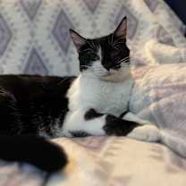 Thumbnail photo of Andy Anderson #3