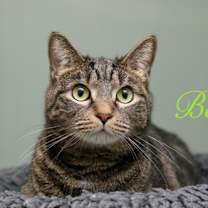 Thumbnail photo of Bean #1
