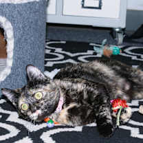 Thumbnail photo of Macy #2