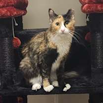 Thumbnail photo of Kairi #2