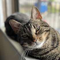 Thumbnail photo of Sabastian #4