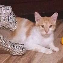 Thumbnail photo of Wesley #1