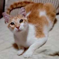 Thumbnail photo of Wesley #2