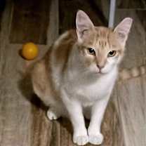 Thumbnail photo of Wesley #3