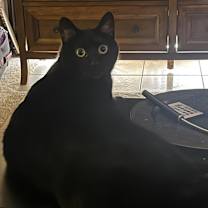 Thumbnail photo of Amity #3