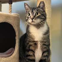 Thumbnail photo of Sugar #1