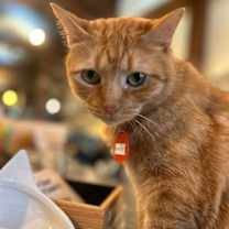 Thumbnail photo of Bartola Blake #3