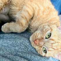 Thumbnail photo of Bartola Blake #4