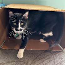 Thumbnail photo of Penelope #2