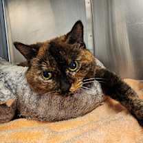 Thumbnail photo of Autumn #4