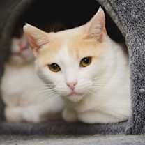 Thumbnail photo of Sarah #3