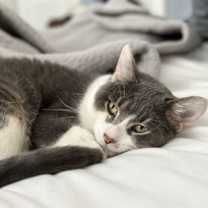 Thumbnail photo of Lucky #3