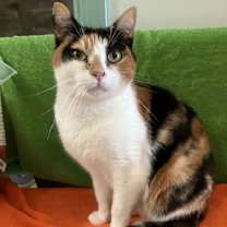 Thumbnail photo of Valya #1