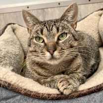 Thumbnail photo of Oksana #2